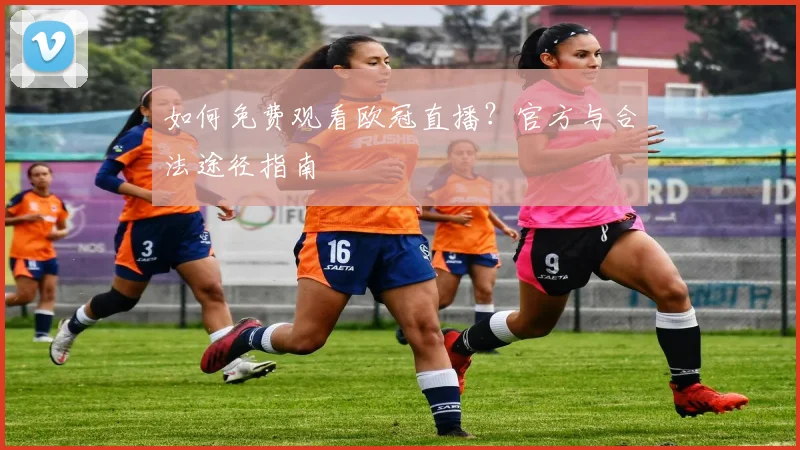 如何免费观看欧冠直播？官方与合法途径指南